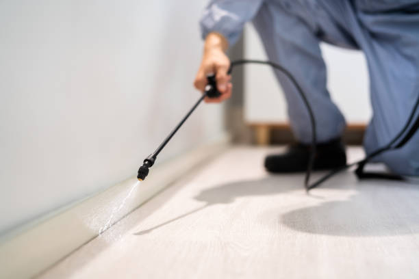 Licensed Pest Control service in Hartford, CT - Show Me Pest Control